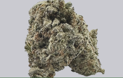 strain review
