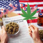 Ohio Embraces Adult-Use Cannabis: A Historic Leap Towards Cannabis Legalization